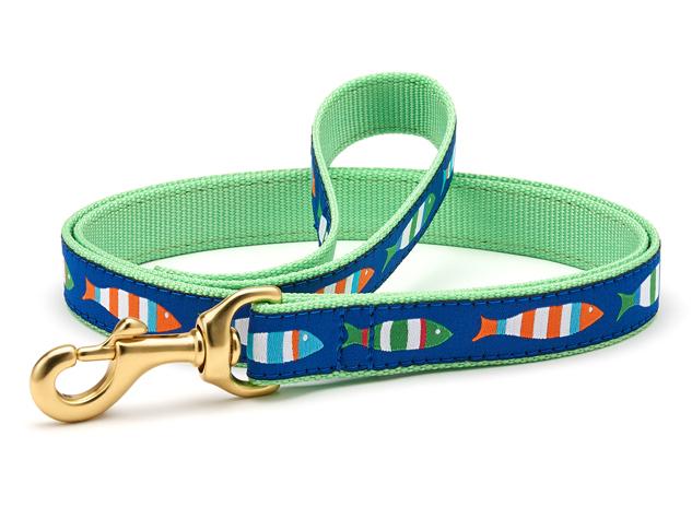 Funky dog clearance collars